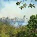 ENVIRONNEMENT – Les points de feux de retour dans la partie Est de Madagascar