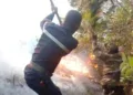 INCENDIE – 867 hectares brûlés dans la région Fitovinany en deux mois, six personnes en détention préventive