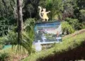FEUX DE FORÊT – 122 ha de superficie consumés au sein du parc national de Ranomafana
