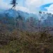 ENVIRONNEMENT – Le ministère de l’environnement rapporte l’arrestation de 11 personnes soupçonnées d’être à l’origine des feux de brousse et de forêt
