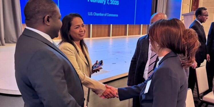 PROMOTION – Madagascar dans le Guide d’investissement 2025 de l’US-Africa Business Center