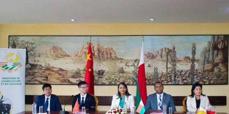 50 000 ha de parcs agricoles pilotes à créer en partenariat avec Sinomach Hainan dans des zones agricoles stratégiques