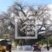 PARC URBAIN – Un jet d’eau à installer à Mahajanga sur consigne présidentielle
