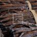 EXPORTATION – 1 000 tonnes de vanille en stock à Madagascar en plus des 1 000 tonnes également stockées à l’étranger