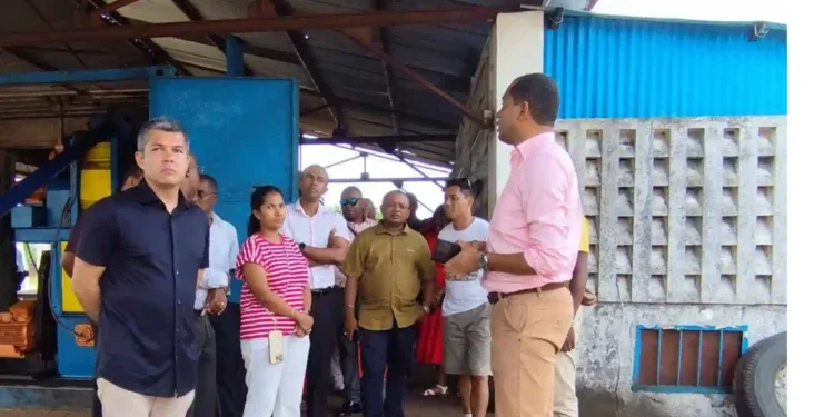 INDUSTRIE – La production de coco de Soavanio réduite de plus de moitié en 25 ans