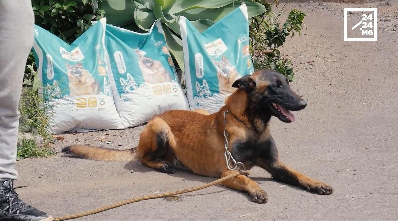 Agrivet partenaire officiel de Cacib Mada Dog Show 2025