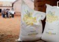 ALIMENTATION SCOLAIRE – L’ONG Inviso continue de nourrir l’avenir à Talata Volonondry