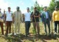 ENVIRONNEMENT – Madagascar instaure une Journée nationale pour l’entretien et le suivi des arbres reboisés