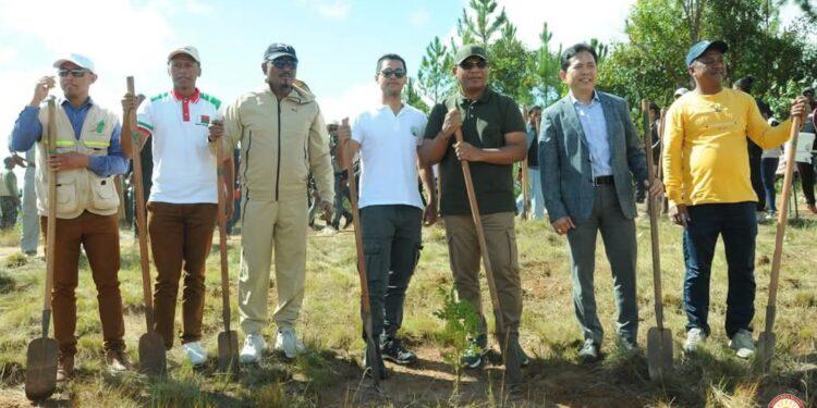 ENVIRONNEMENT – Madagascar instaure une Journée nationale pour l’entretien et le suivi des arbres reboisés