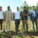ENVIRONNEMENT – Madagascar instaure une Journée nationale pour l’entretien et le suivi des arbres reboisés