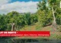 PRODUIT DE RENTE – La filière poivre en progression dans l’Atsimo Atsinanana
