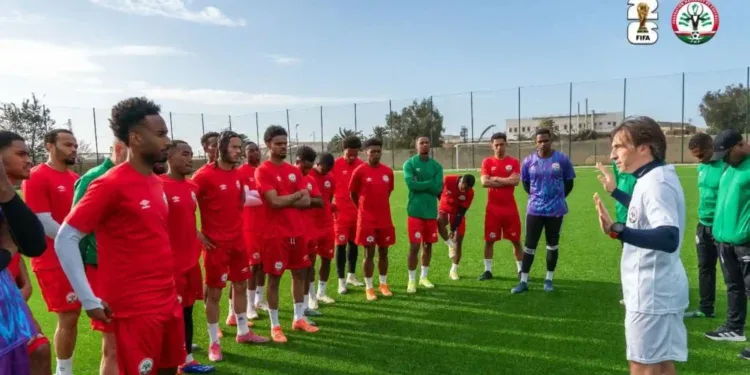 FOOTBALL – Les Barea de Madagascar affrontent les Léopards de RDC en amical le 8 Juin en France