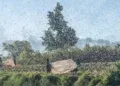 CATASTROPHE NATURELLE – Un deuxième hélicoptère attendu à la fin du mois pour renforcer la lutte antiacridienne, selon le ministre de l’Agriculture