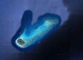 La délégation pluridisciplinaire malgache invitée à défendre la souveraineté de Madagascar sur les îles Eparses