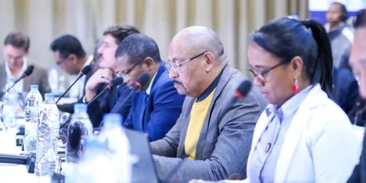 ENERGIE – Une équipe spéciale auprès de la Présidence pour la mise en œuvre du Pacte énergétique de Madagascar