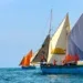 EVENEMENT – Belo sur Mer célèbre sa biodiversité et sa culture vezo avec le Festival Botry Soa Fahitse