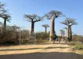 ÉVÉNEMENT – La célébration de la Journée mondiale du Tourisme prévue ce week-end à Morondava reportée