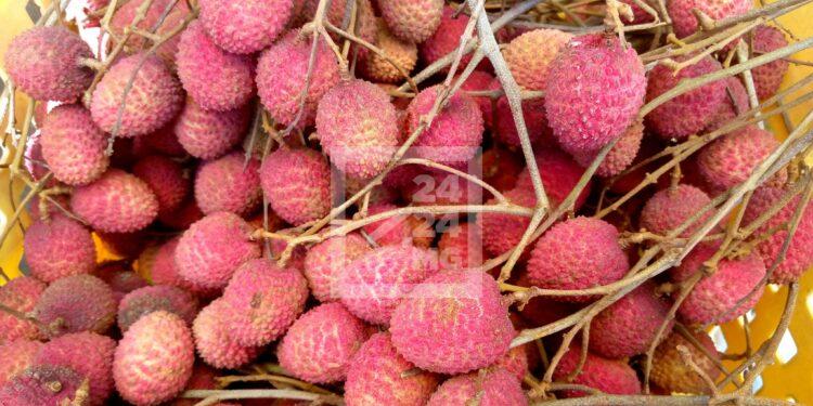 COMMERCE – Les litchis “primeurs” annoncés de retour pour la campagne 2025