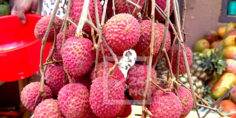COMMERCE – Les quotas d’exportation de litchis à répartir équitablement entre tous les opérateurs de la filière