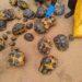 ENVIRONNEMENT – Quatre personnes arrêtées pour trafic illicite de tortues protégées à Tsihombe