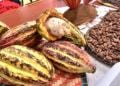 EXPORTATION VERS LES ETATS-UNIS – La vanille, le cacao, les épices et certaines huiles essentielles non soumis au droit additionnel de 15%