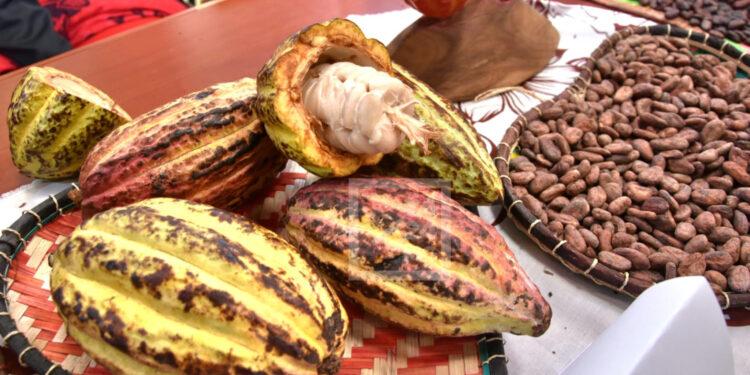EXPORTATION VERS LES ETATS-UNIS – La vanille, le cacao, les épices et certaines huiles essentielles non soumis au droit additionnel de 15%
