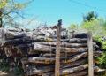 RESSOURCES STRATÉGIQUES – Herintsalama Rajaonarivelo insiste sur la priorité de la préservation et de la sécurisation des stocks de bois de rose avant toute vente