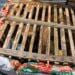 TRANSPORT ILLICITE – Les douaniers interceptent un lémurien confiné dans une cage en bois rangée dans une valise 