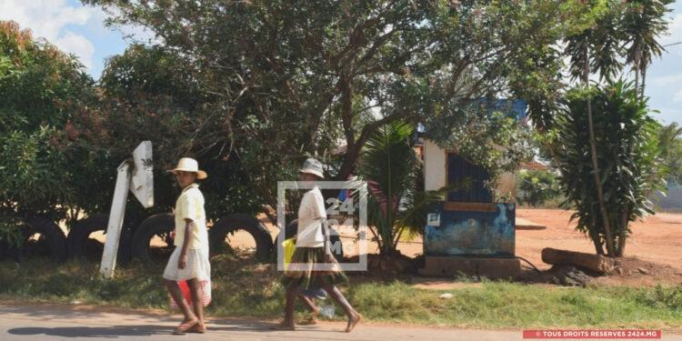 RELANCE ÉCONOMIQUE – Huit filières d&rsquo;excellence pour bâtir l&rsquo;avenir agro-industriel de la province d&rsquo;Antananarivo