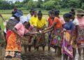 AGRICULTURE – Des projets de 140 millions de dollars présentés par Madagascar devant le Fida