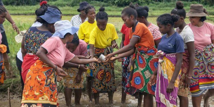 AGRICULTURE – Des projets de 140 millions de dollars présentés par Madagascar devant le Fida