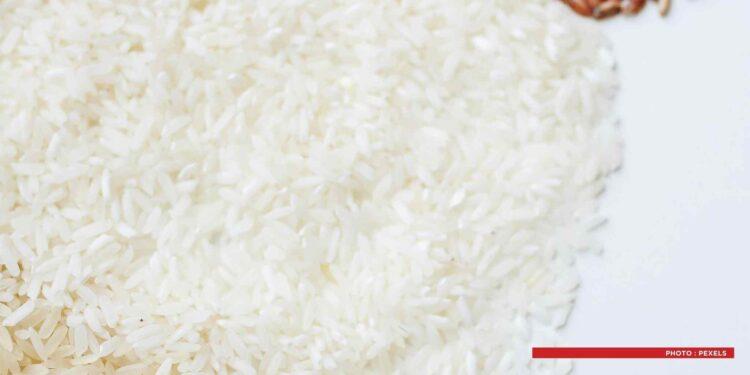 COMMERCE ET CONSOMMATION – Des dispositions exceptionnelles pour éviter la destruction totale des stocks de riz endommagés à Toamasina