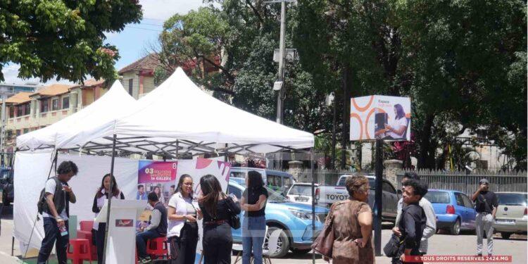 ENTREPRENEURIAT DES JEUNES – Le manque d’orientation freine la pérennité des projets