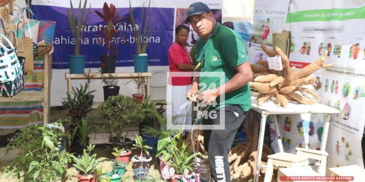 AGRICULTURE – La foire d’Ambohimalaza révèle un potentiel de substitution aux importations locales