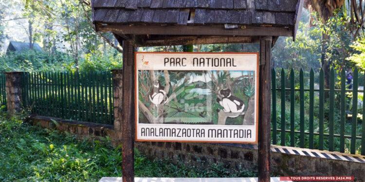 GESTION D’AIRE PROTÉGÉE – Difficile équilibre entre précarité financière et tensions communautaires au sein du Parc national d’Analamazaotra