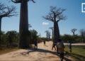 TOURISME – Du coucher au lever du soleil, l’expérience Allée des baobabs se diversifie