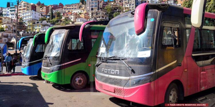 EXAMEN OFFICIEL – Les bus Foton de nouveau mobilisés pour le transport gratuit des candidats au Baccalauréat