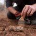 PALEONTOLOGIE – Une cinquième espèce de dinosaure identifiée au Zimbabwe, une découverte qui éclaire l’évolution des premiers dinosaures